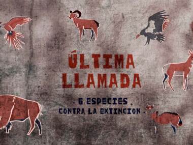 Última llamada